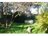 Achat Maison Pujols